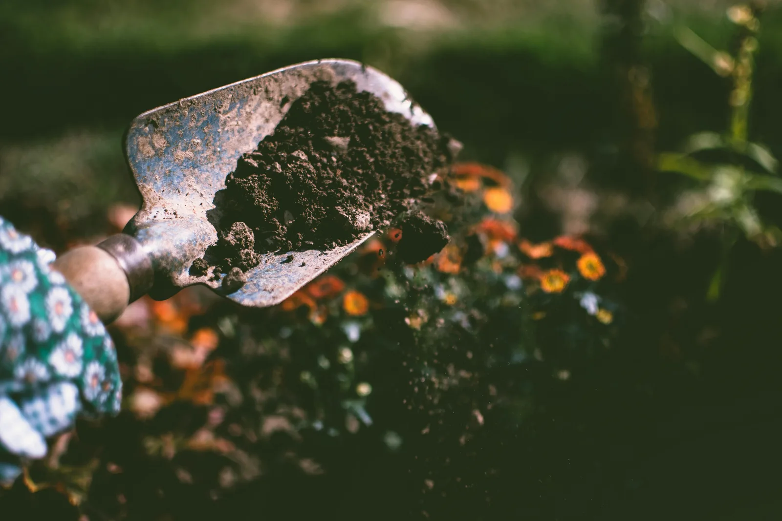 Gartenschaufel bei sorgfältiger Arbeit mit Erde